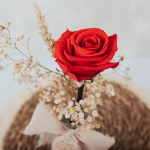 Jarrón Cristal Personalizado con Rosa Eterna - Edición Sant Jordi - Imagen 3