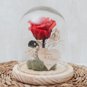 Cúpula con Rosa Eterna Personalizada Sant Jordi - Imagen 3