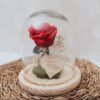 Cúpula de cristal con rosa eterna roja preservada y corazón de madera grabado personalizado sobre base natural con musgo para Sant Jordi
