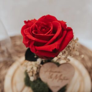 Cúpula con Rosa Eterna Personalizada Sant Jordi - Imagen 5