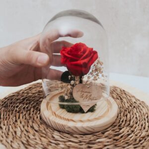 Cúpula con Rosa Eterna Personalizada Sant Jordi - Imagen 8