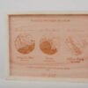 Cuadro de madera personalizado con tres mapas grabados mostrando historia de amor: lugar donde se conocieron, compromiso y boda, con marco natural